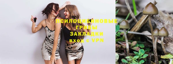 трава Бронницы