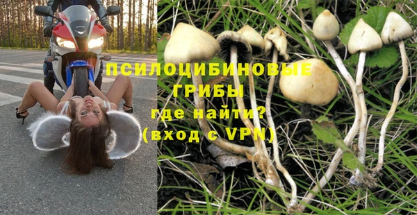 трава Бронницы