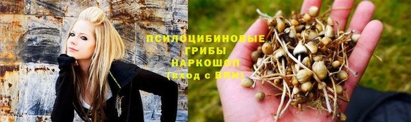 трава Бронницы